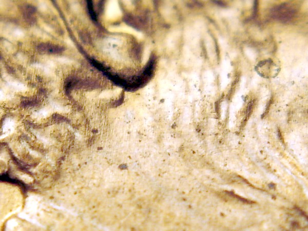 2006-P-LMC-1-Do--018-Double-Ear-Lobe